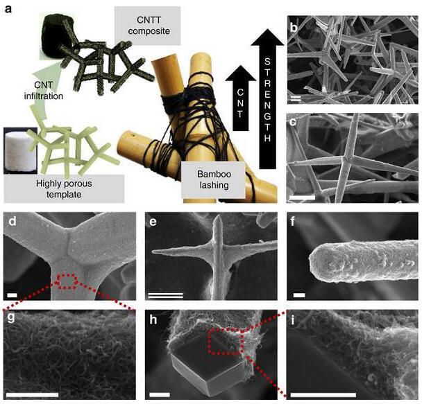 20180802142224563.jpg Nature Communications:分層自糾纏碳納米管網(wǎng)絡