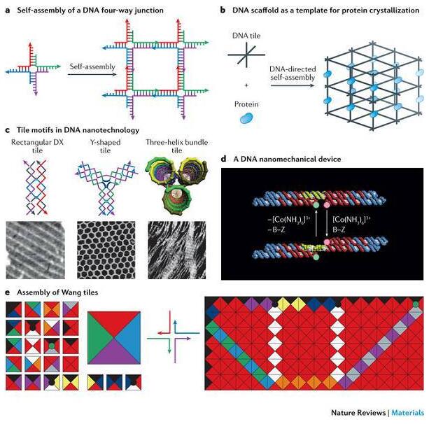 20180802142628442.jpg DNA納米技術