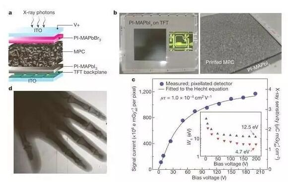 20180802143356807.jpg 利用鈣鈦礦實現(xiàn)低劑量X射線成像