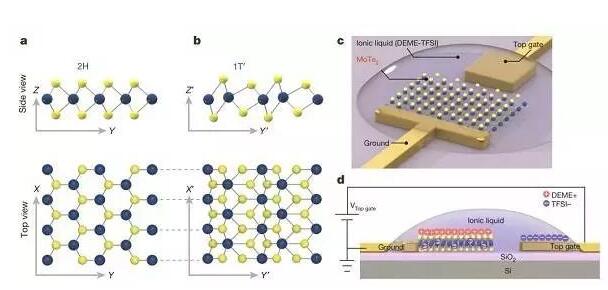 20180802143512520.jpg 靜電摻雜驅動單層MoTe2結構相變