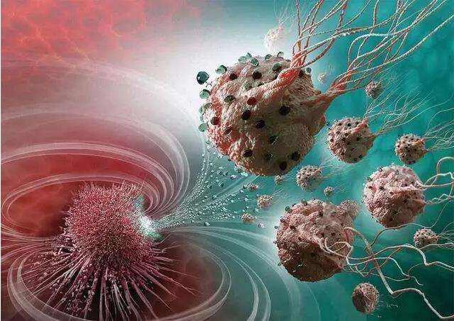 趨磁細(xì)菌具有使用稱為磁小體的小納米晶體鏈來感知微小磁場的非凡能力